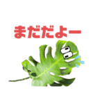 サボテンズ‼︎（個別スタンプ：21）
