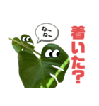 サボテンズ‼︎（個別スタンプ：22）