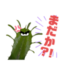 サボテンズ‼︎（個別スタンプ：23）