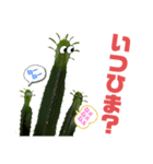 サボテンズ‼︎（個別スタンプ：24）