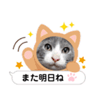 プリンちゃんと愉快なにゃんこ達（個別スタンプ：6）
