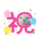 プリンちゃんと愉快なにゃんこ達（個別スタンプ：7）