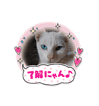 プリンちゃんと愉快なにゃんこ達（個別スタンプ：19）