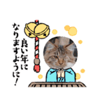 プリンちゃんと愉快なにゃんこ達（個別スタンプ：21）