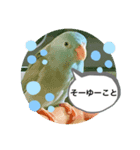 マメルリハのリル14（個別スタンプ：2）