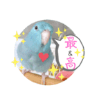 マメルリハのリル14（個別スタンプ：3）