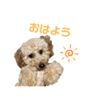 Kevin①（個別スタンプ：1）