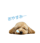 Kevin①（個別スタンプ：2）