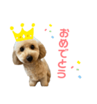 Kevin①（個別スタンプ：5）