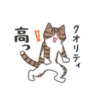 40匹のねこの、みんなでいいね！（個別スタンプ：23）