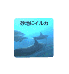 dolphins3（個別スタンプ：28）