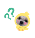 シーズ犬めいなな姉妹 日常ver（個別スタンプ：3）