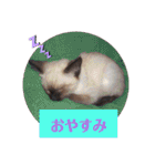 るーだま（個別スタンプ：11）
