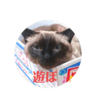 るーだま（個別スタンプ：12）