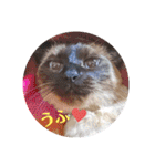 るーだま（個別スタンプ：14）