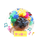 るーだま（個別スタンプ：22）