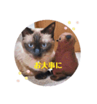 るーだま（個別スタンプ：25）