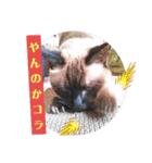 るーだま（個別スタンプ：27）