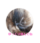 るーだま（個別スタンプ：29）