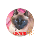 るーだま（個別スタンプ：31）