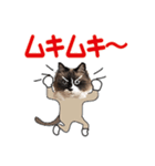 もふもふ猫のルイ（個別スタンプ：2）