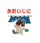 もふもふ猫のルイ（個別スタンプ：3）