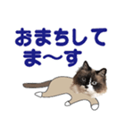 もふもふ猫のルイ（個別スタンプ：7）