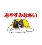 もふもふ猫のルイ（個別スタンプ：17）