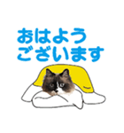 もふもふ猫のルイ（個別スタンプ：18）