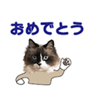 もふもふ猫のルイ（個別スタンプ：21）