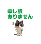 もふもふ猫のルイ（個別スタンプ：31）