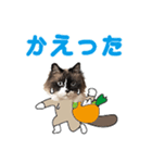 もふもふ猫のルイ（個別スタンプ：35）