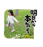 バルサミコ3歳日記（個別スタンプ：11）