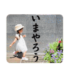 バルサミコ3歳日記（個別スタンプ：12）