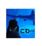 バルサミコ3歳日記（個別スタンプ：28）