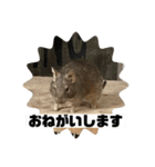 デグーマウスのわかば（個別スタンプ：7）
