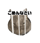 デグーマウスのわかば（個別スタンプ：8）