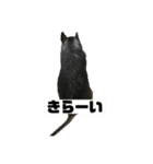 デグーマウスのわかば（個別スタンプ：19）