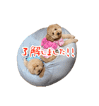 といぷーどる(仮)＊敬語版＊（個別スタンプ：6）