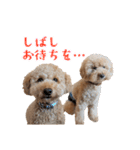 といぷーどる(仮)＊敬語版＊（個別スタンプ：9）