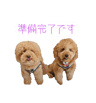 といぷーどる(仮)＊敬語版＊（個別スタンプ：12）