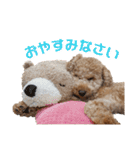 といぷーどる(仮)＊敬語版＊（個別スタンプ：17）