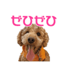 といぷーどる(仮)＊敬語版＊（個別スタンプ：18）