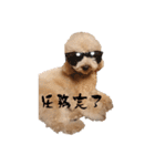 といぷーどる(仮)＊敬語版＊（個別スタンプ：21）