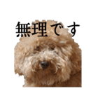 といぷーどる(仮)＊敬語版＊（個別スタンプ：23）