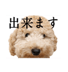 といぷーどる(仮)＊敬語版＊（個別スタンプ：24）