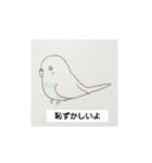 初めての文鳥とセキセイインコ（個別スタンプ：13）