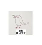 初めての文鳥とセキセイインコ（個別スタンプ：22）