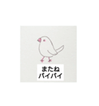 初めての文鳥とセキセイインコ（個別スタンプ：28）