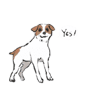 可愛い犬のLINEスタンプ（個別スタンプ：9）